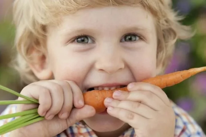 A child holding and eating a carrot outdoors.