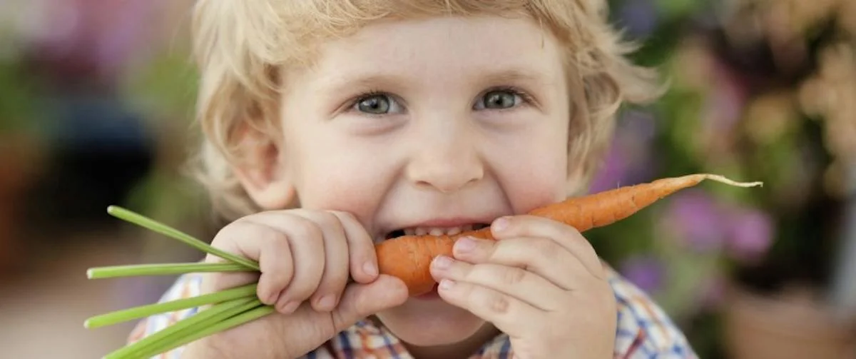 A child holding and eating a carrot outdoors.