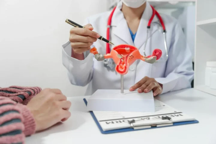A clinician explaining a model of the female reproductive system.
