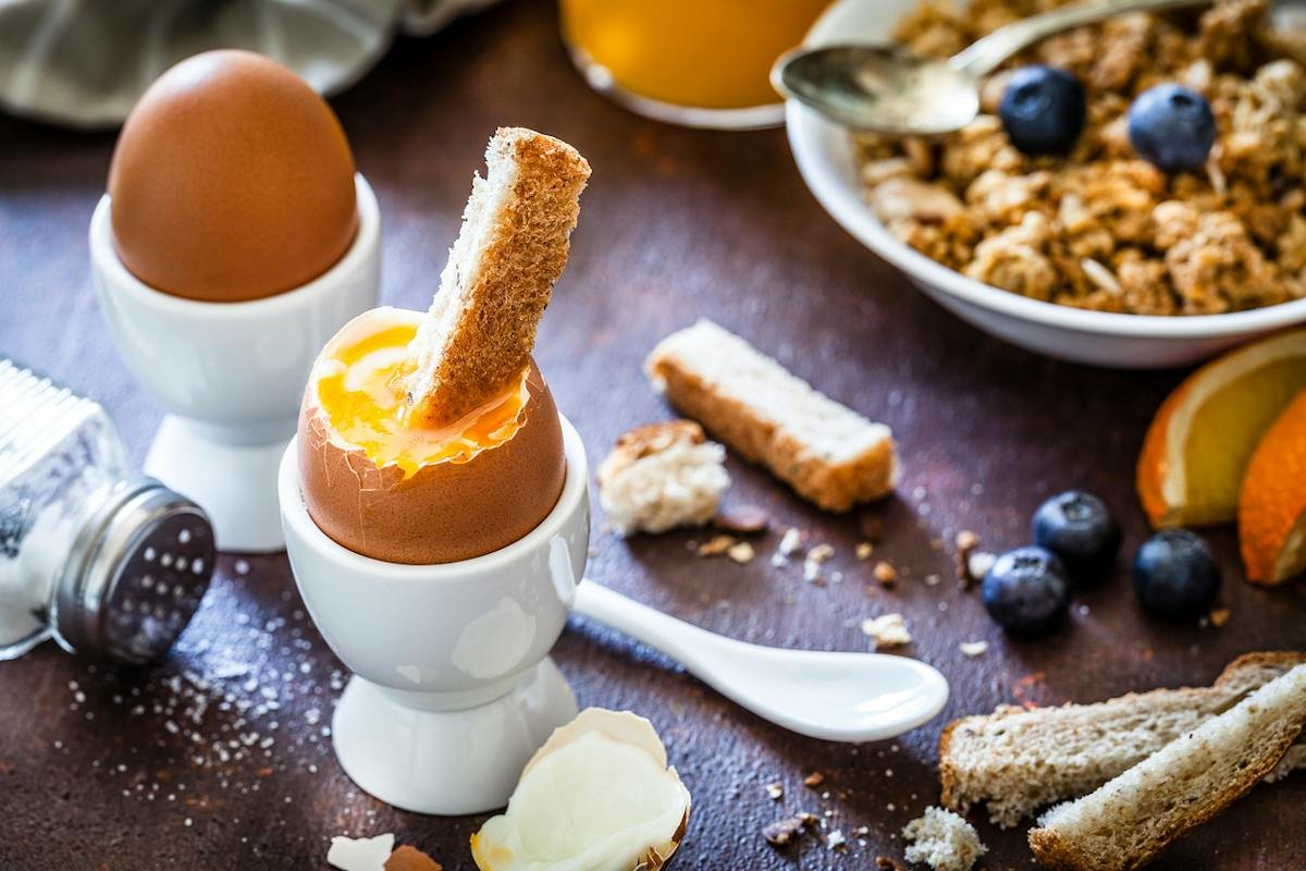 Boiled egg, toast, yogurt, and fruit served for breakfast